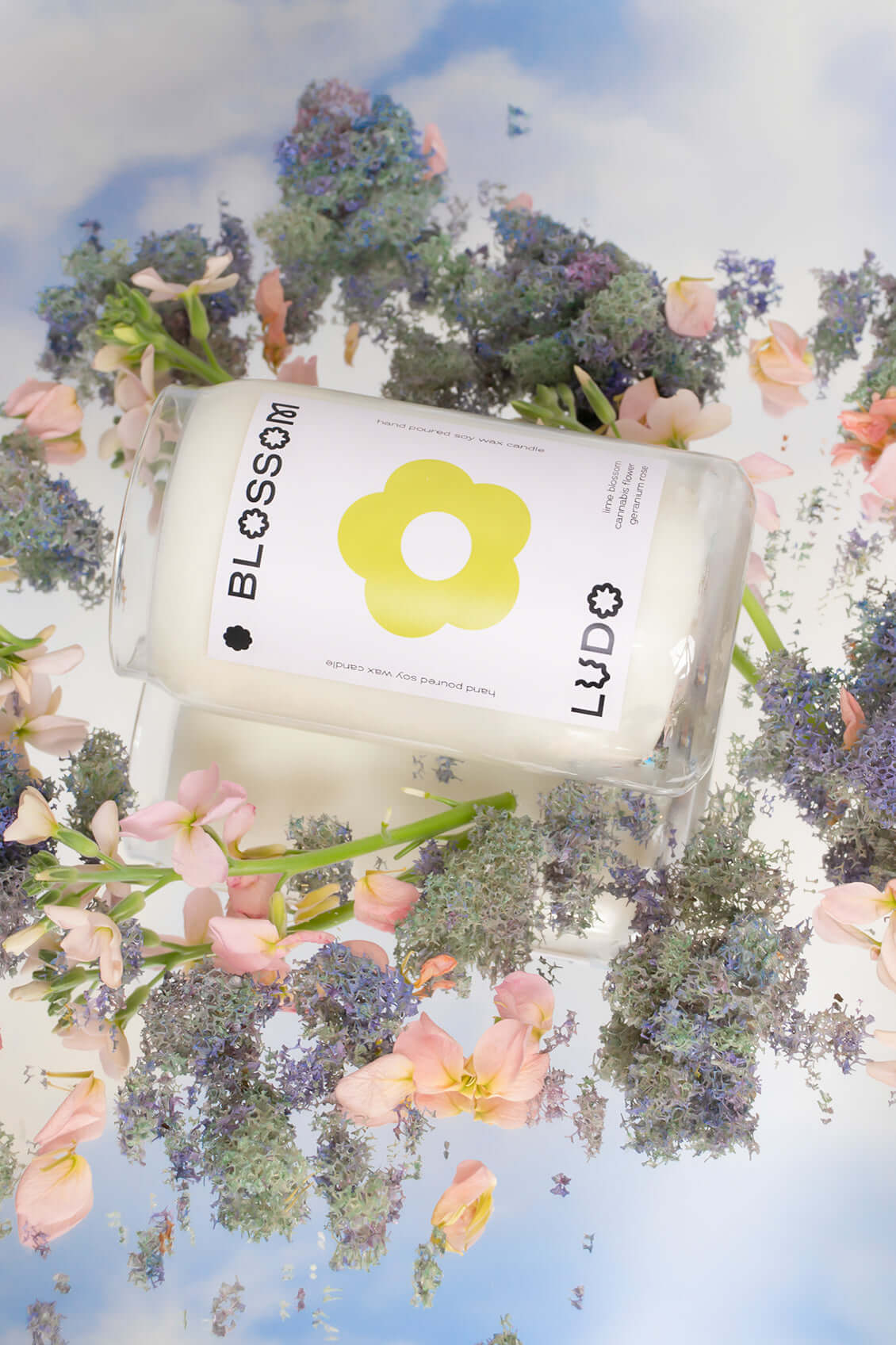 LUDO ~ Blossom