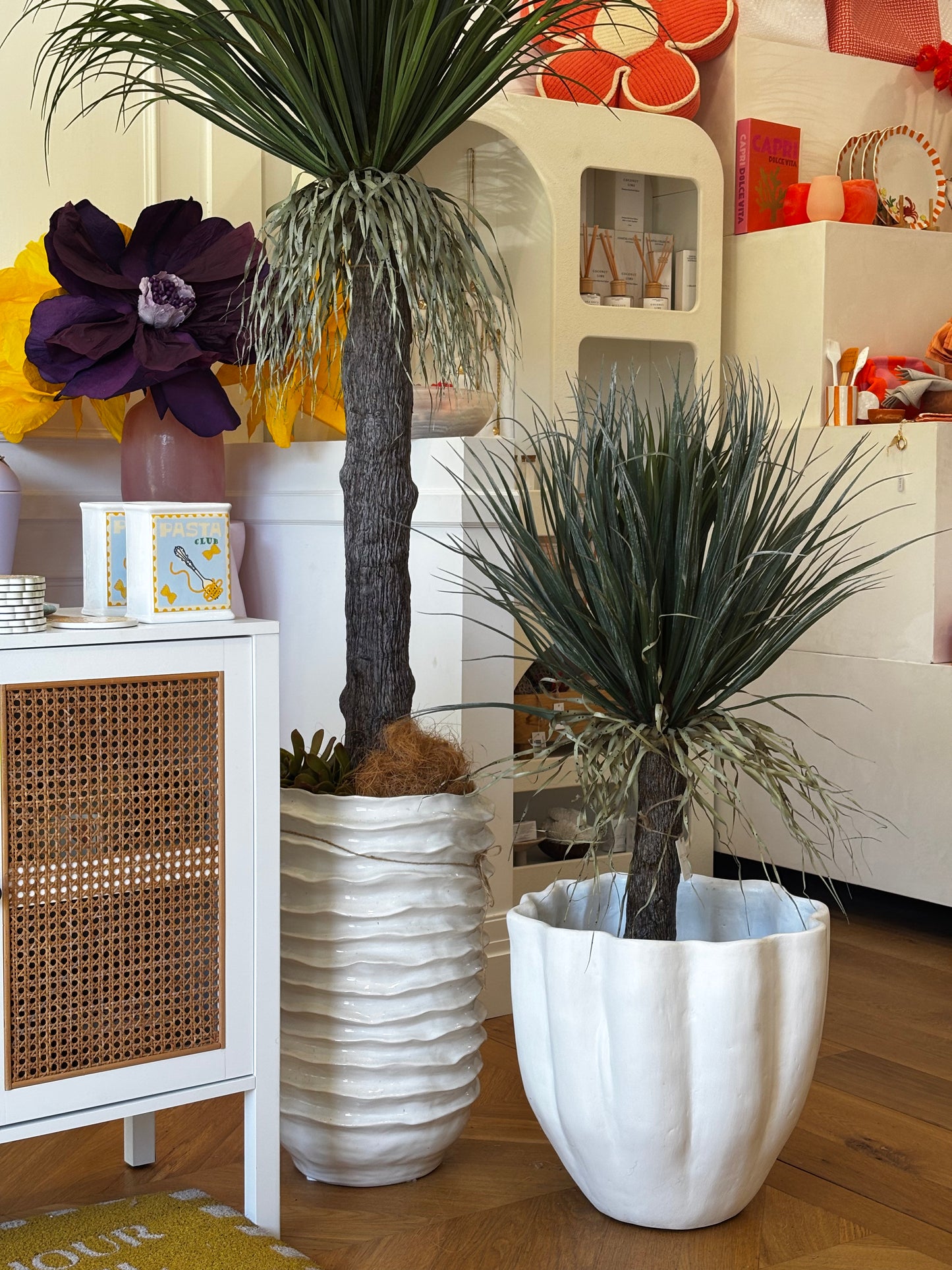 Grass Tree
