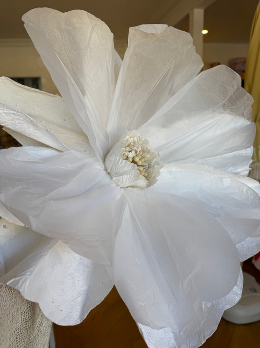 Giant Paper Flower White