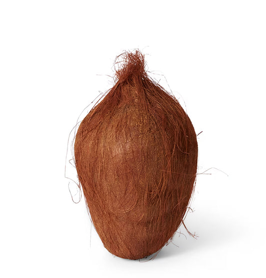 Coconut Brown 20x14x14cm