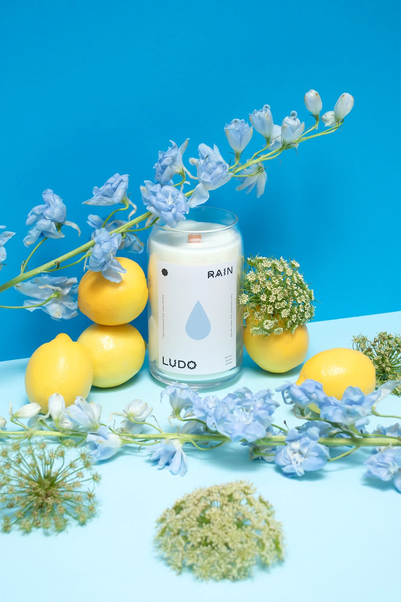 Ludo Candles