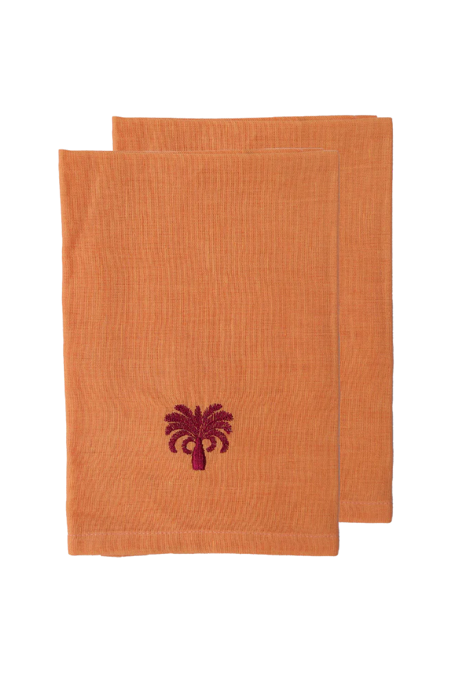 Napkin Set ~2 ~ Orange