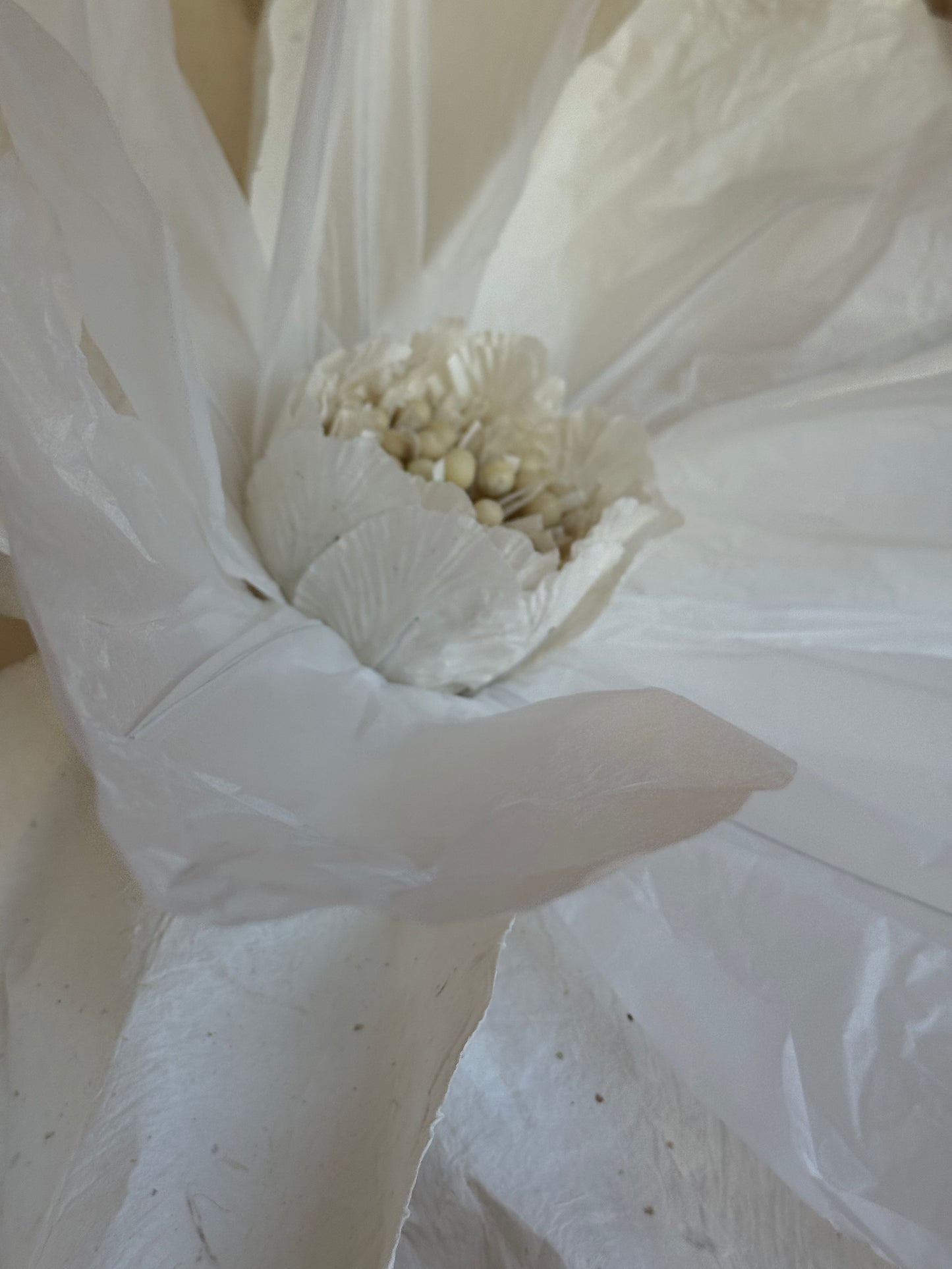 Giant Paper Flower White