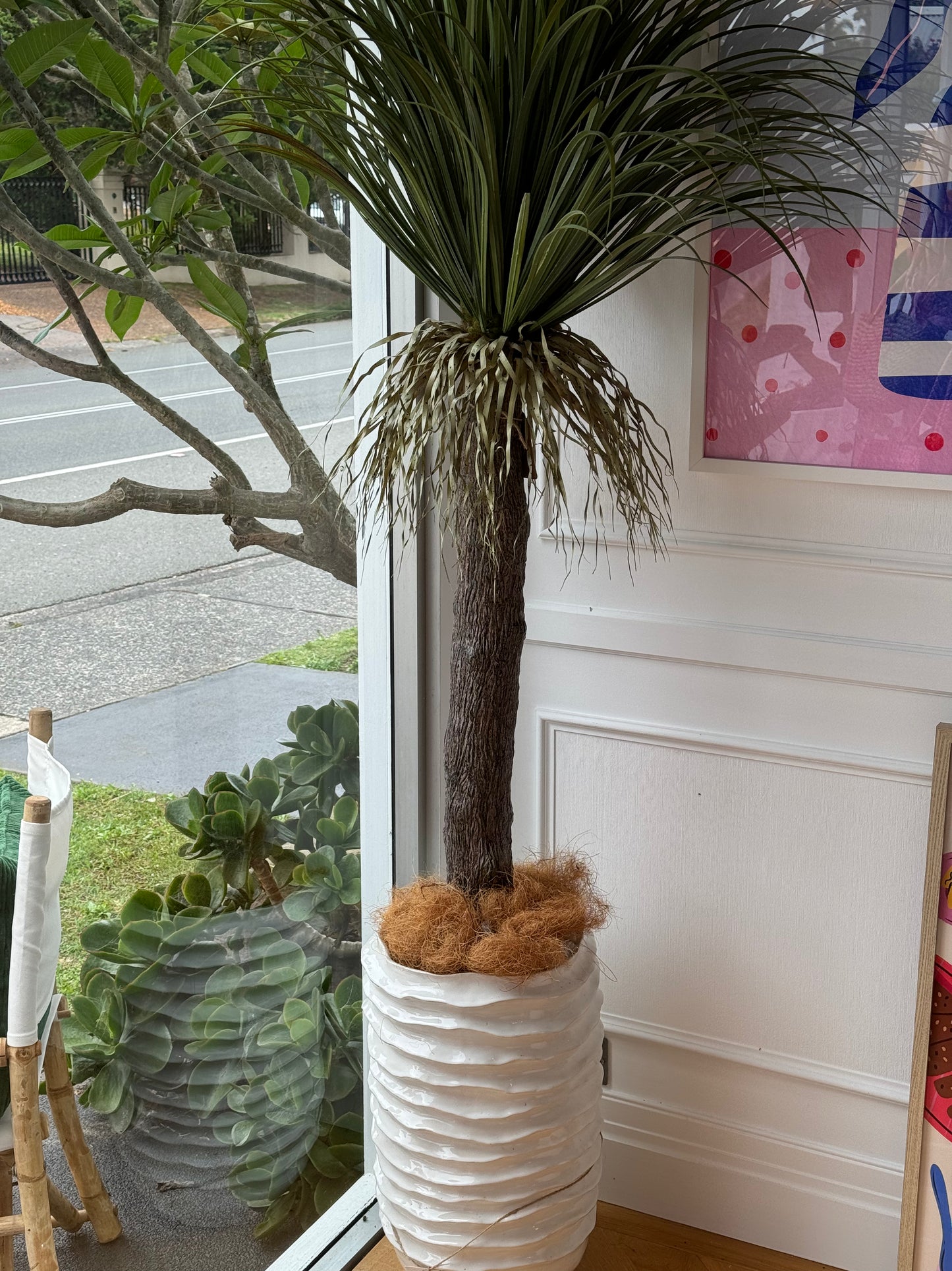 Grass Tree