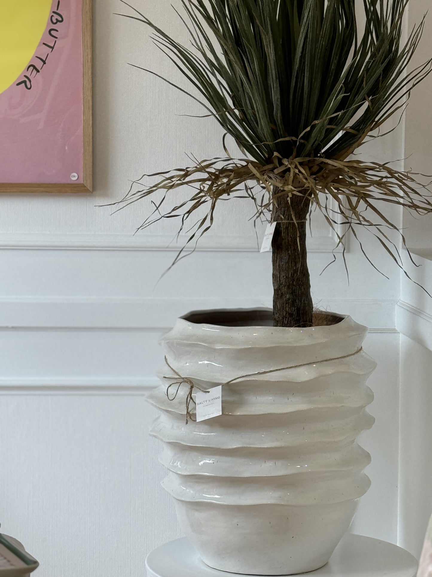 Grass Tree