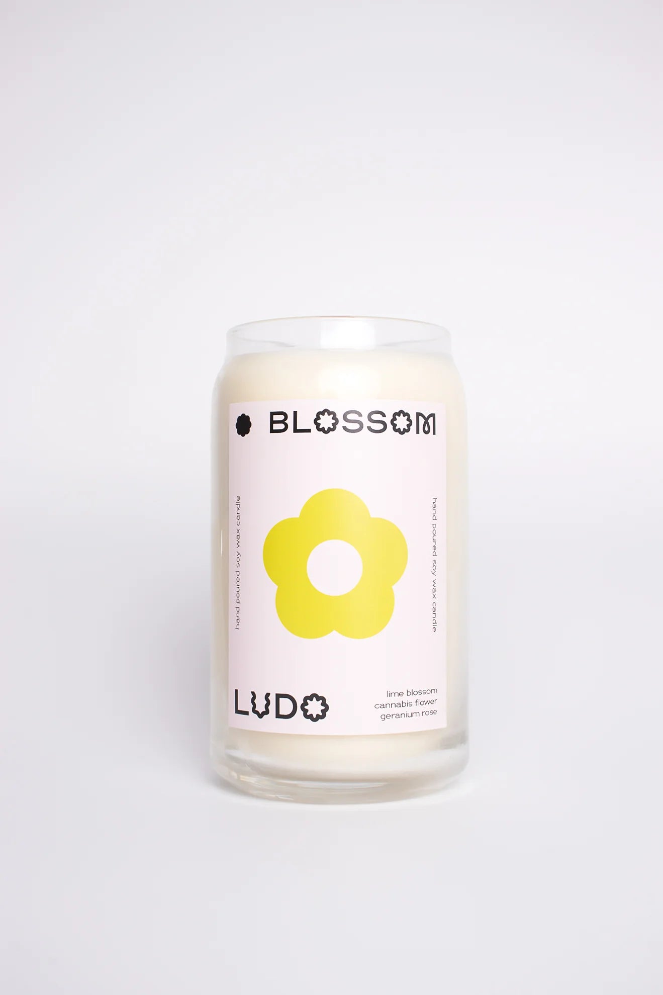 LUDO ~ Blossom