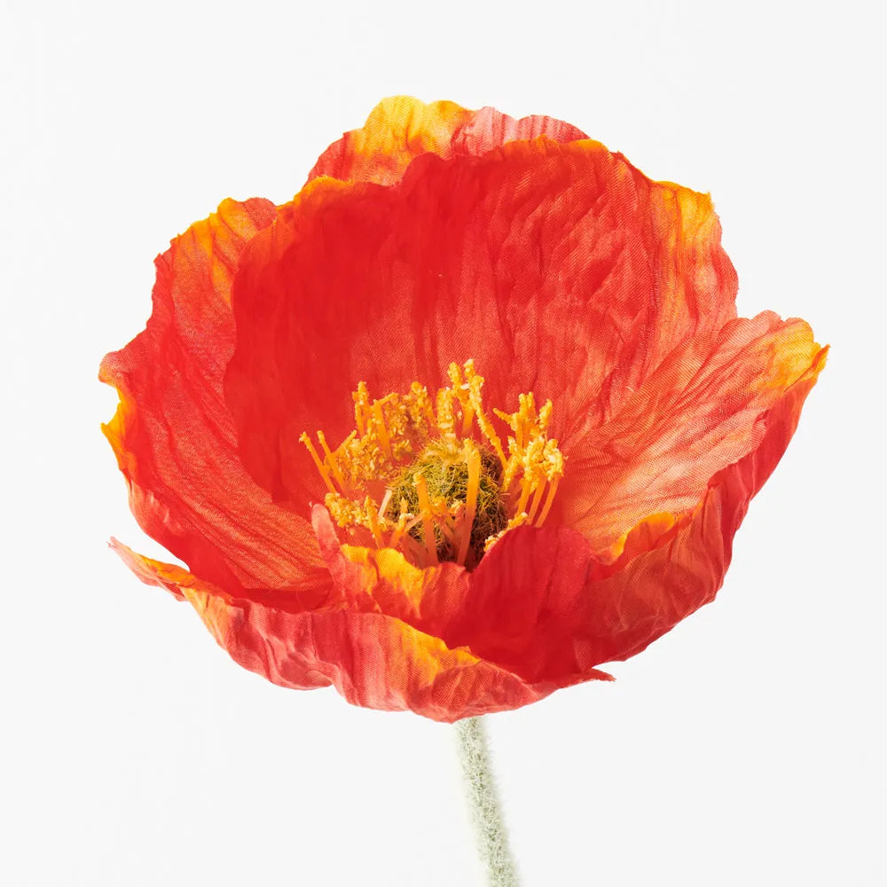 Faux Poppy Stem ~ Burnt Orange
