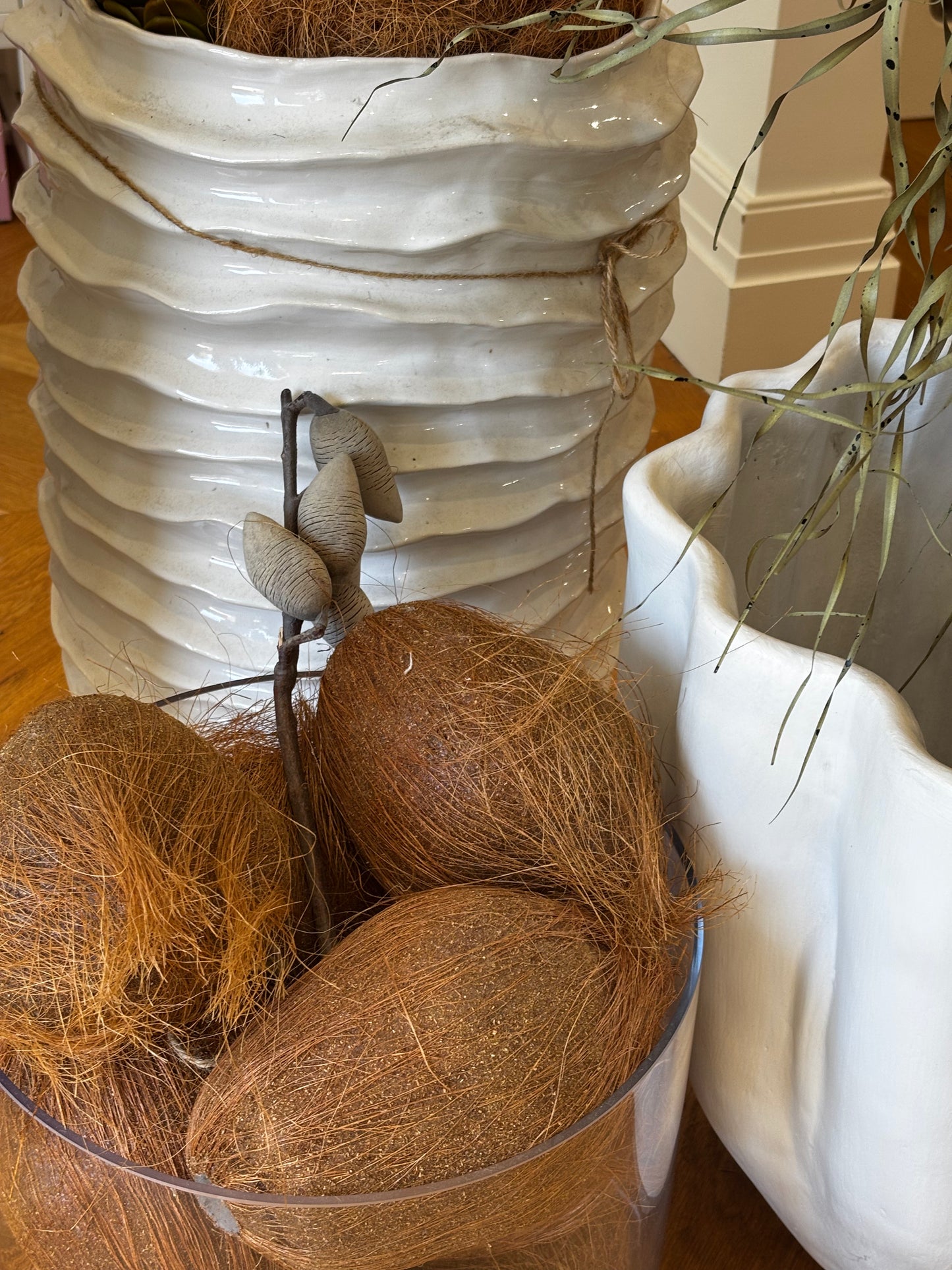 Coconut