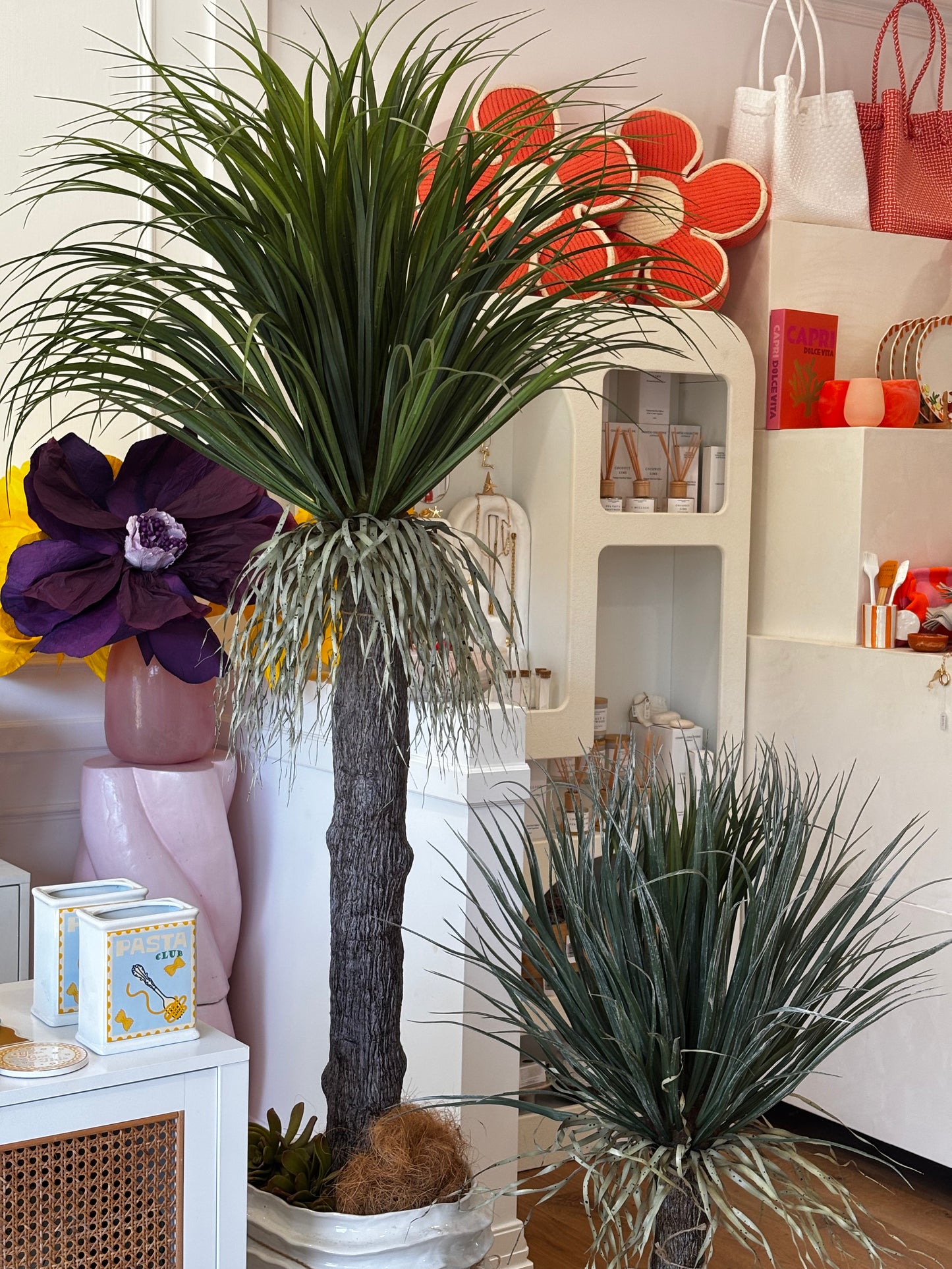 Grass Tree