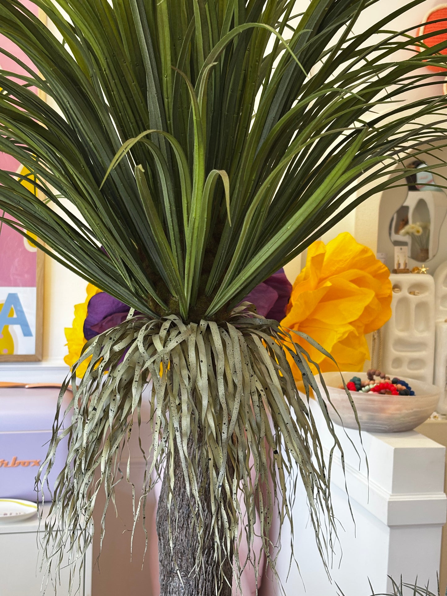 Grass Tree
