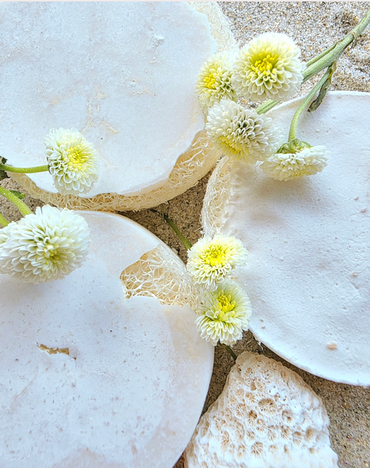 Twin Wild Crafted Loofah Cleansers - Hellfire Bay